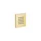 DORNBRACHT-WATER-POINTS-UP-Seitenbrause-SERIENNEUTRAL-36515979-Messing-gebuerstet-23kt-Gold-36515979-28 gallery number 1